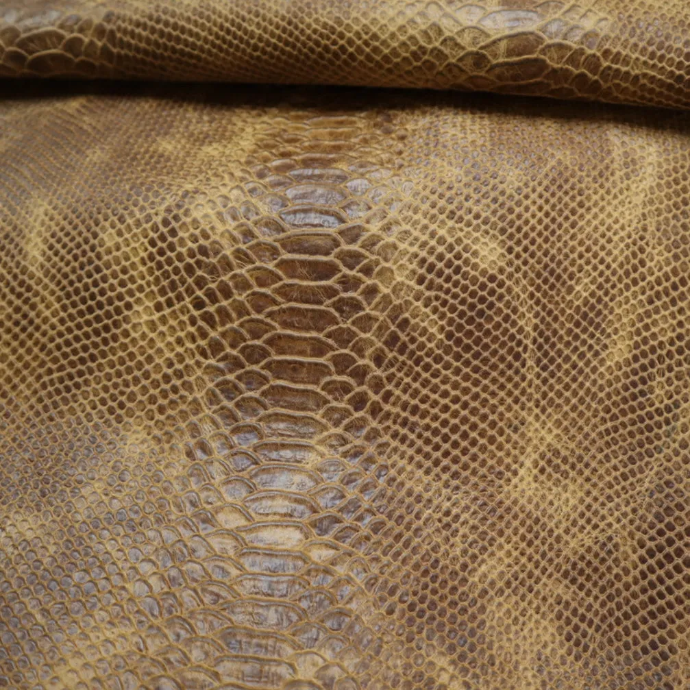 Authentic Mini Anaconda