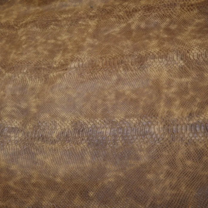 Authentic Mini Anaconda