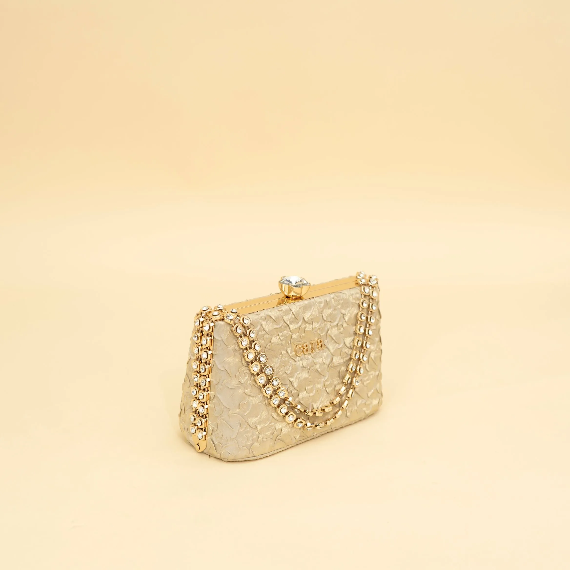 Cara's Beautiful Gold Clutch