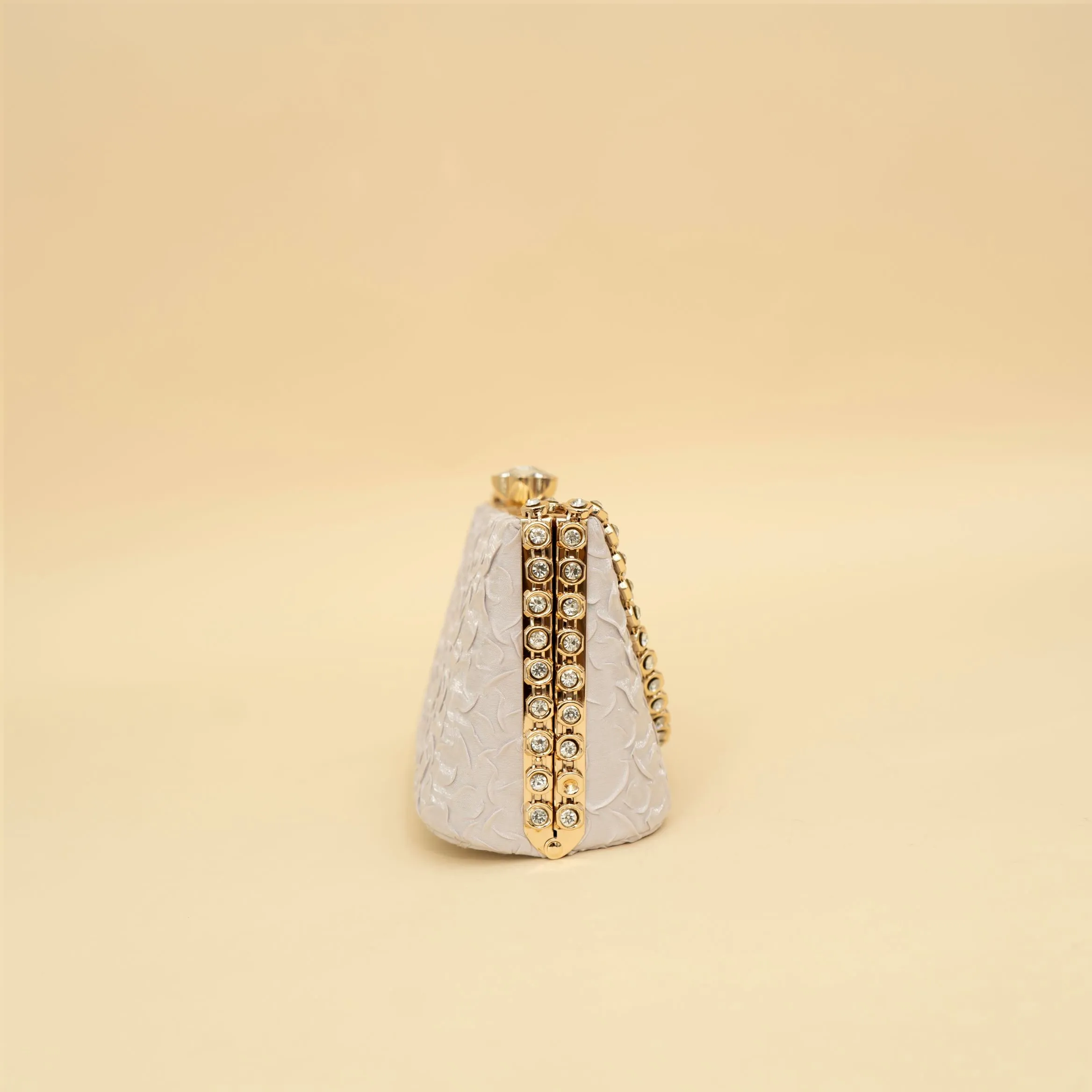 Cara's Beautiful Silver Clutch