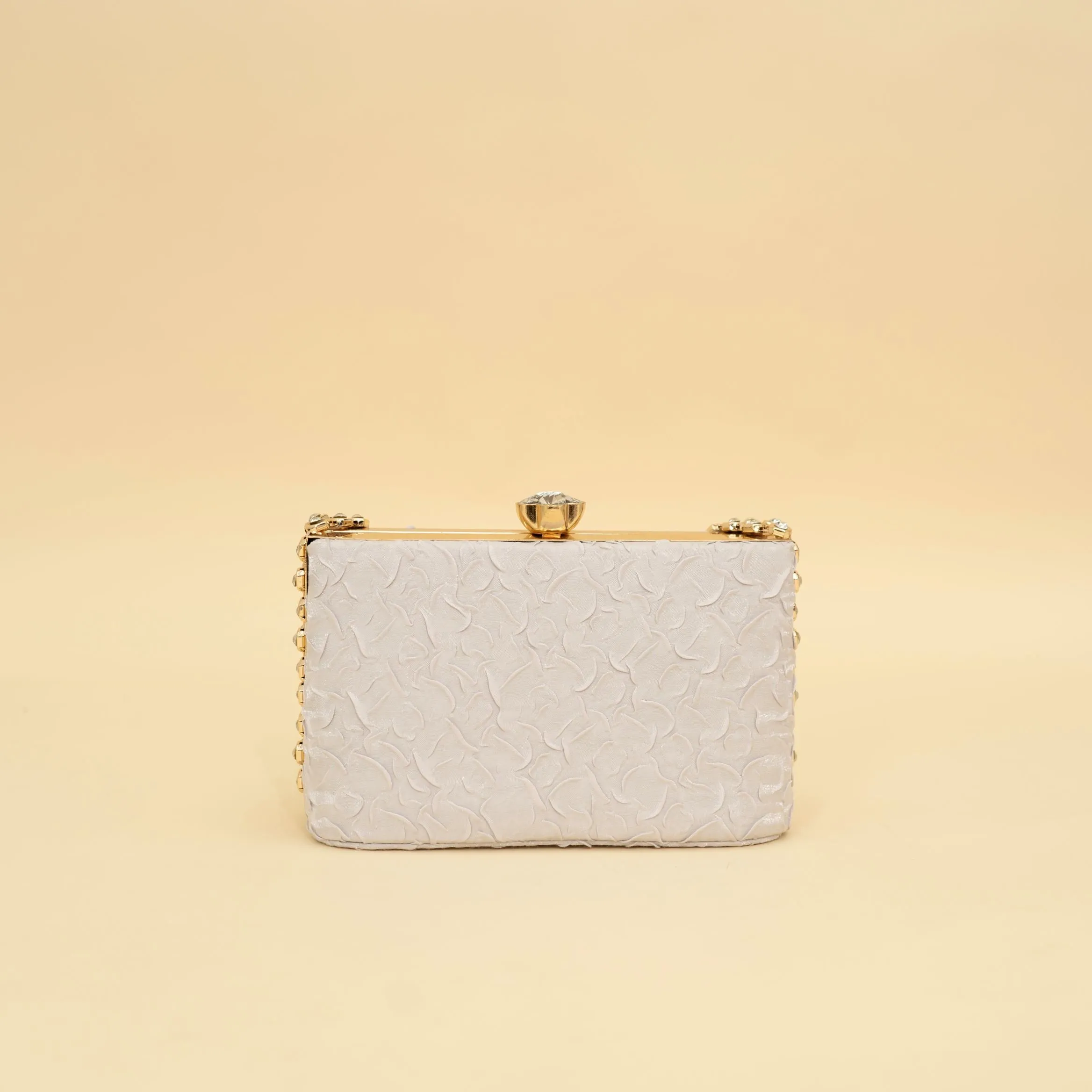 Cara's Beautiful Silver Clutch