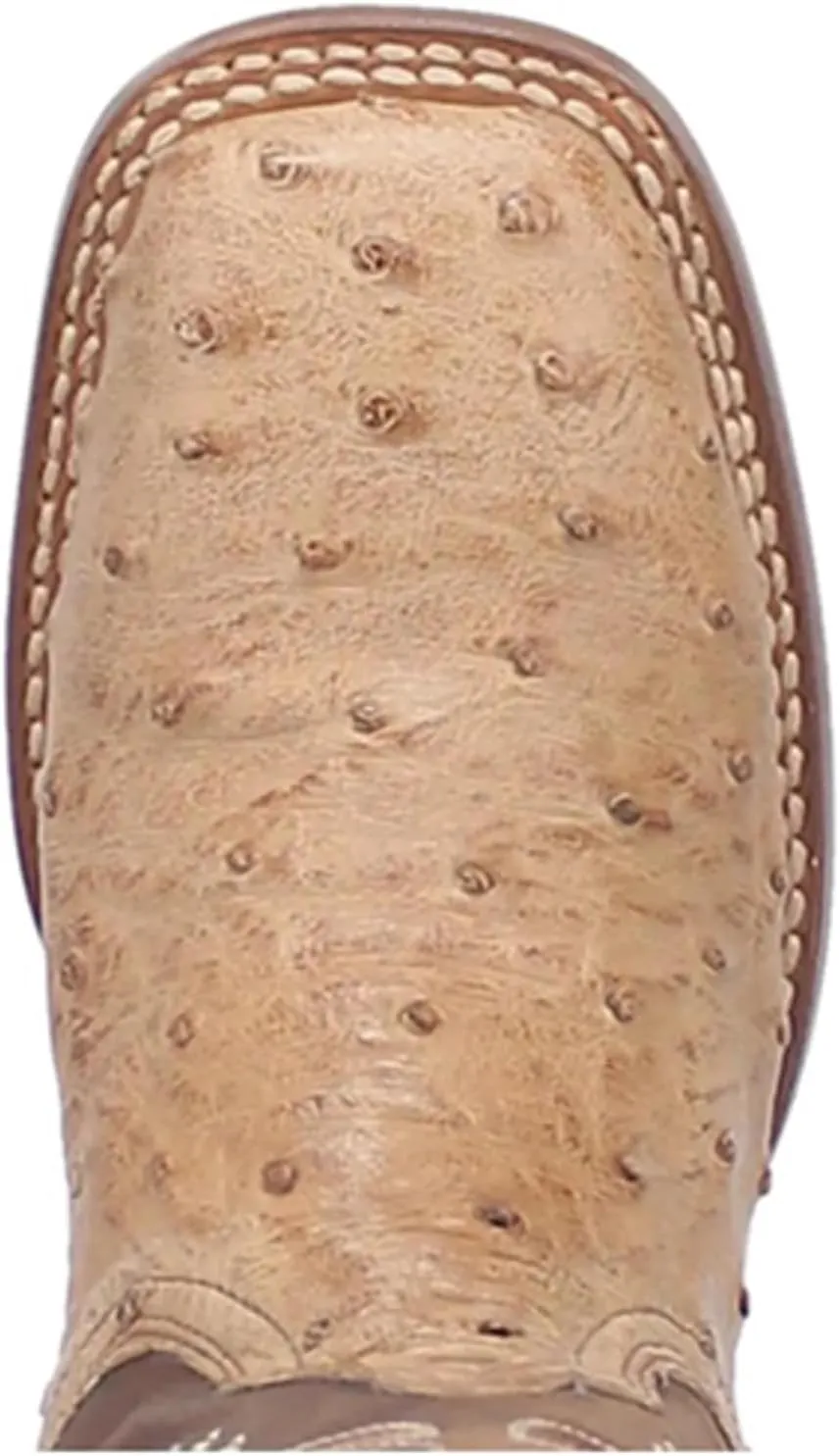 Dan Post Women's Kylo Western Boot