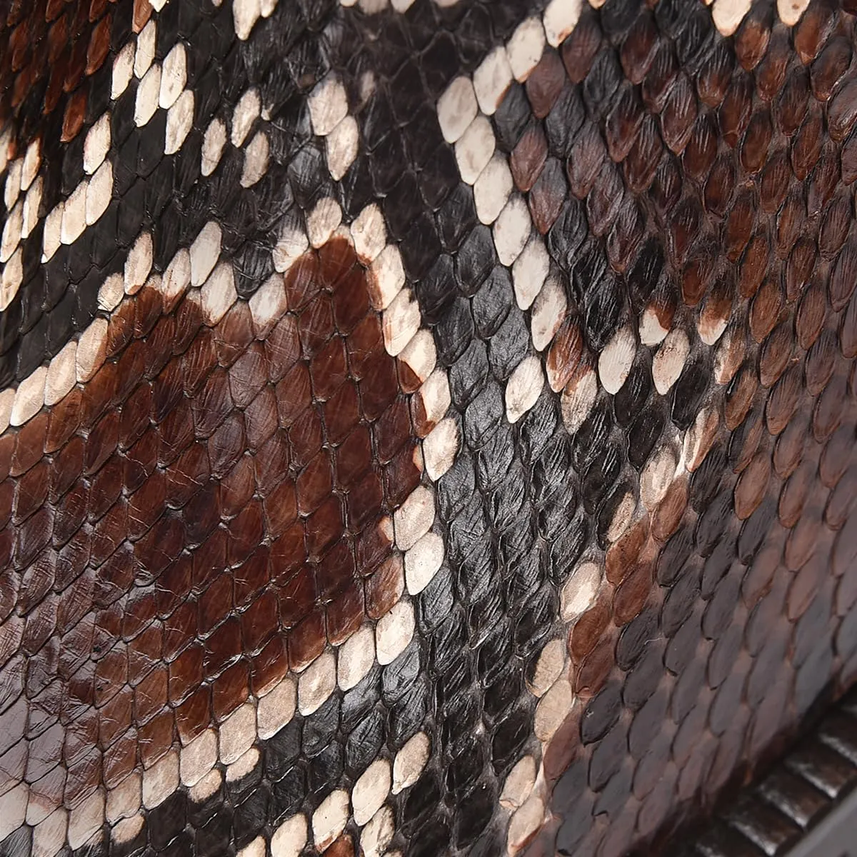 FRANCO CUADRA Women's Bootie in Genuine Python Leather Brown Chocolate 6G0PBRS