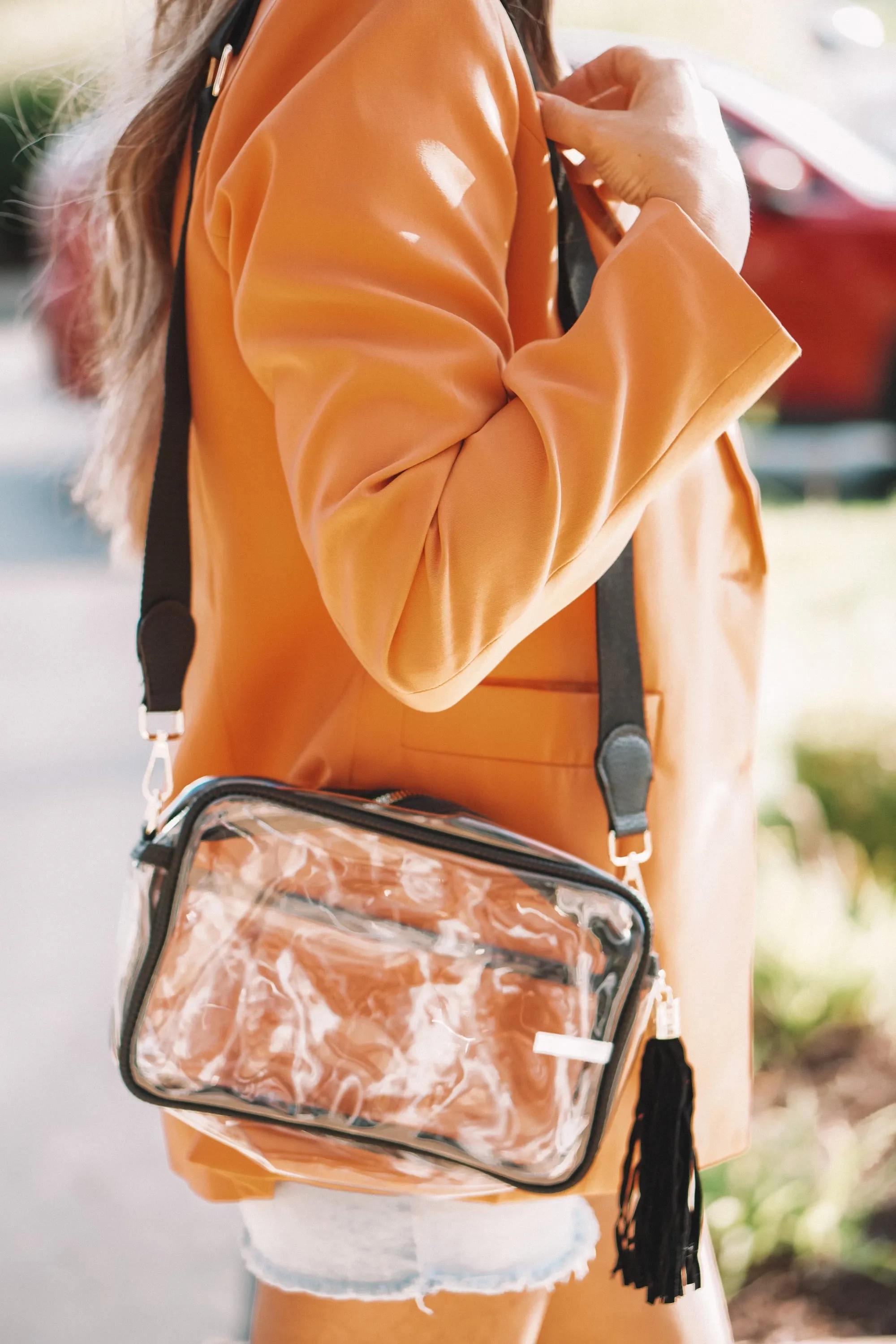 Game Day Clear Bags