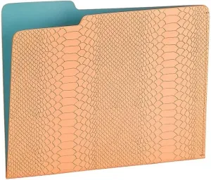 Graphic Image The Carlo File Folder Melon/Teal Embossed Python Leather (r) - 8.5x11