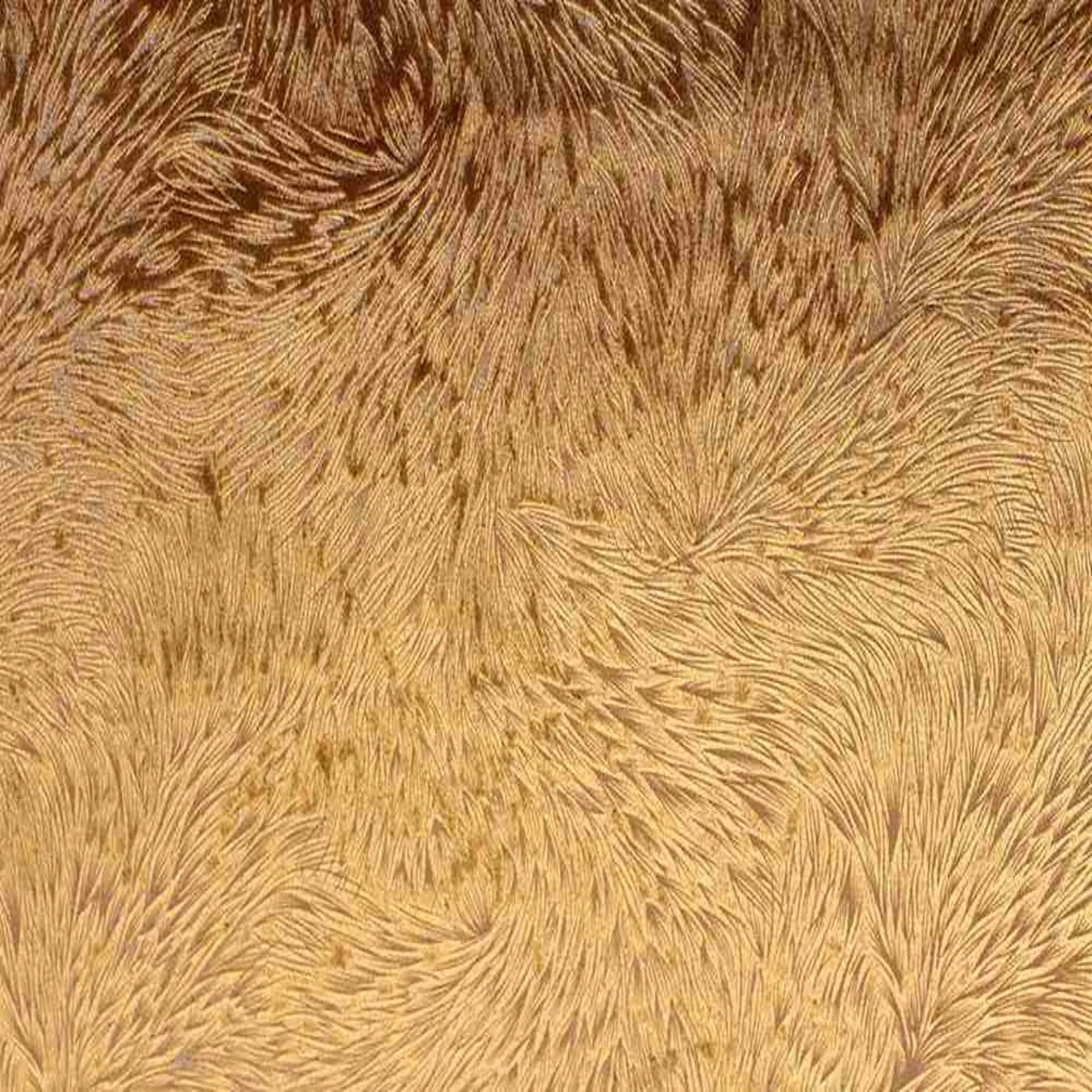 Huntsville Brocade Velvet Fabric, 72 Inch in Width Ideal Embossed Material for Home Decor