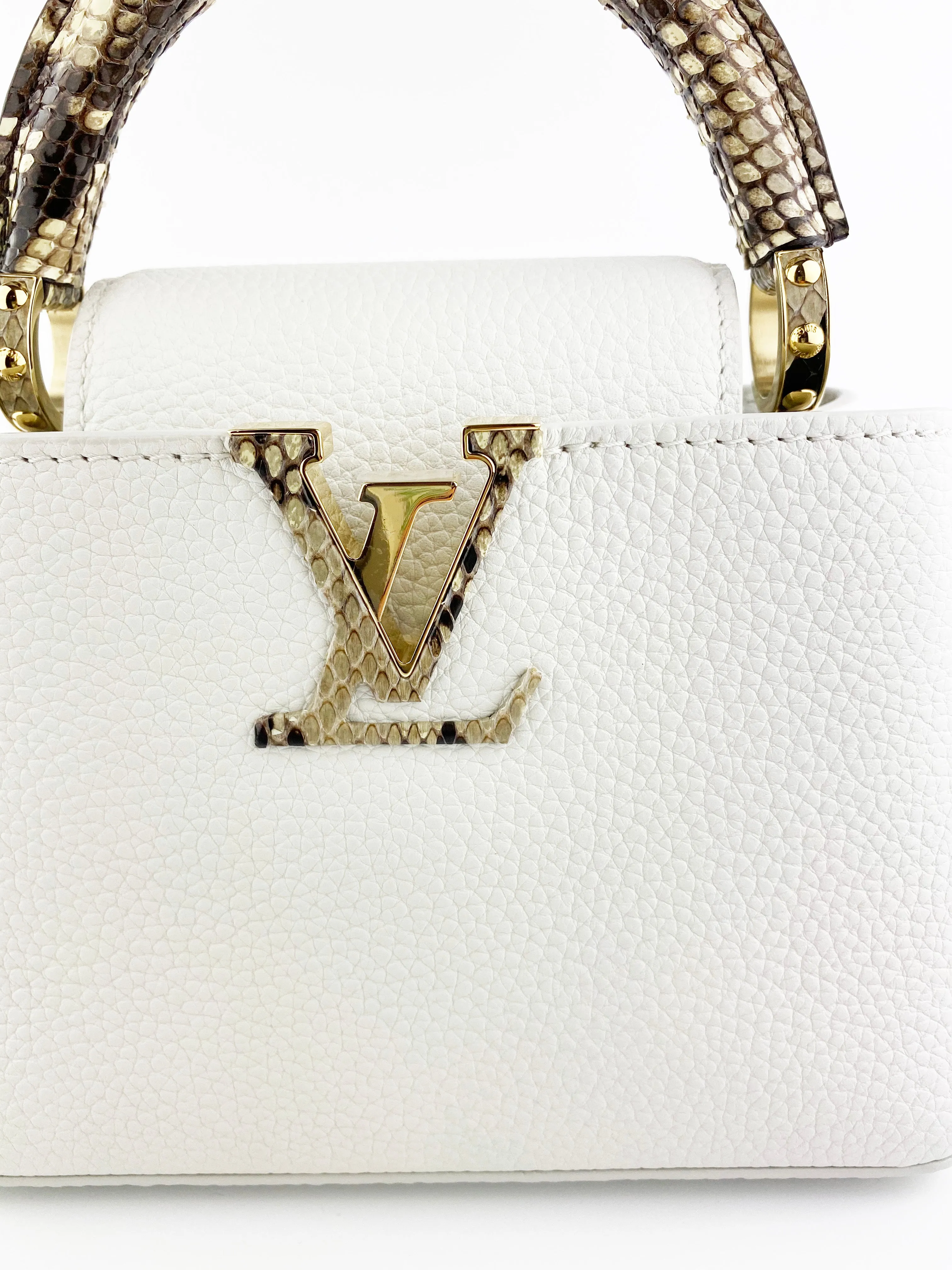 Louis Vuitton Python Mini Capucines Bag