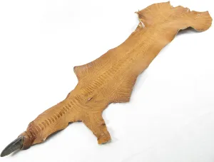 PELGIO Genuine Ostrich Leg Skin Leather with Nail Claw Hide Pelt 4" x 70 cm. Grade A (Tan Brown)