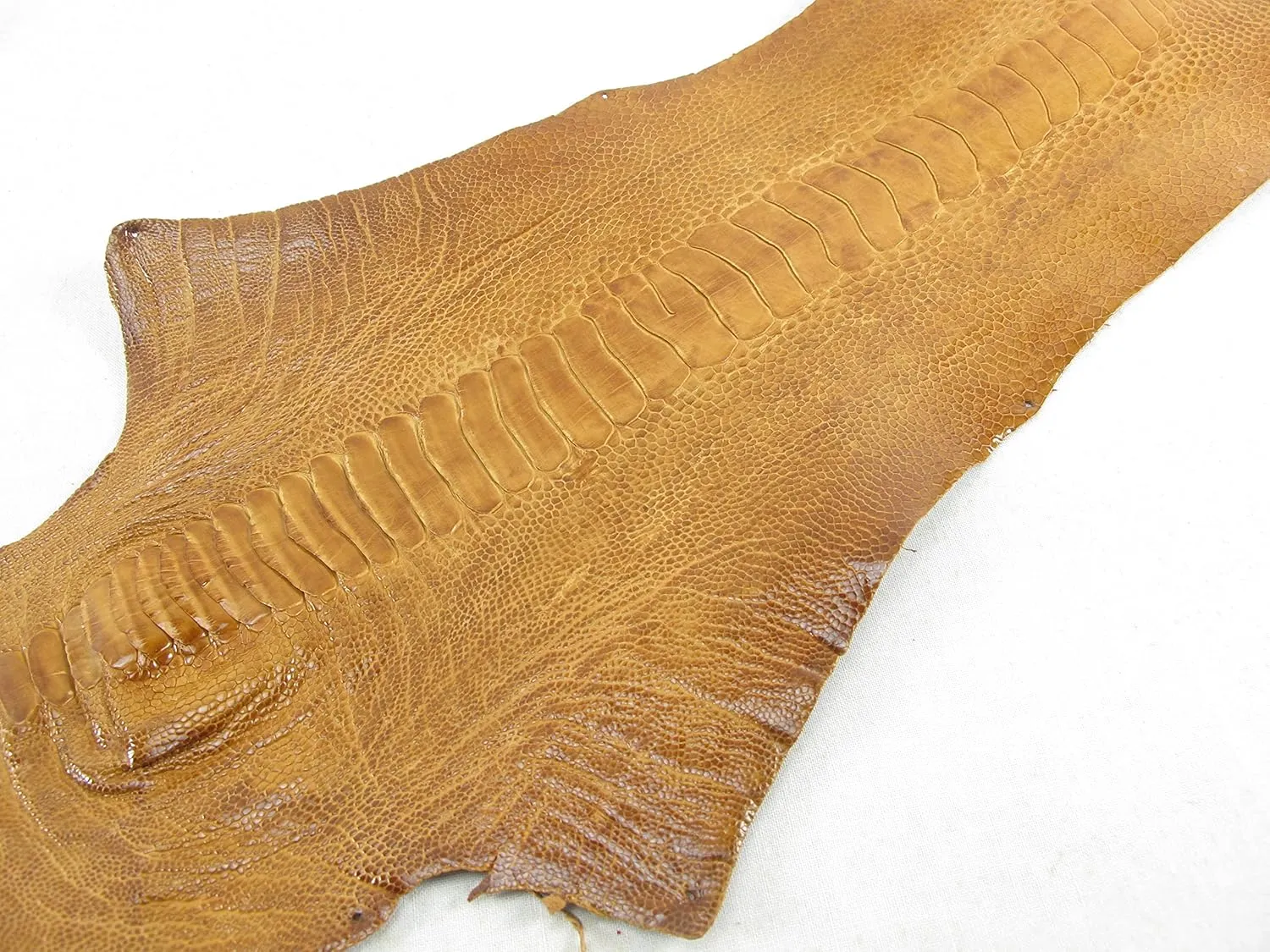 PELGIO Genuine Ostrich Leg Skin Leather with Nail Claw Hide Pelt 4" x 70 cm. Grade A (Tan Brown)