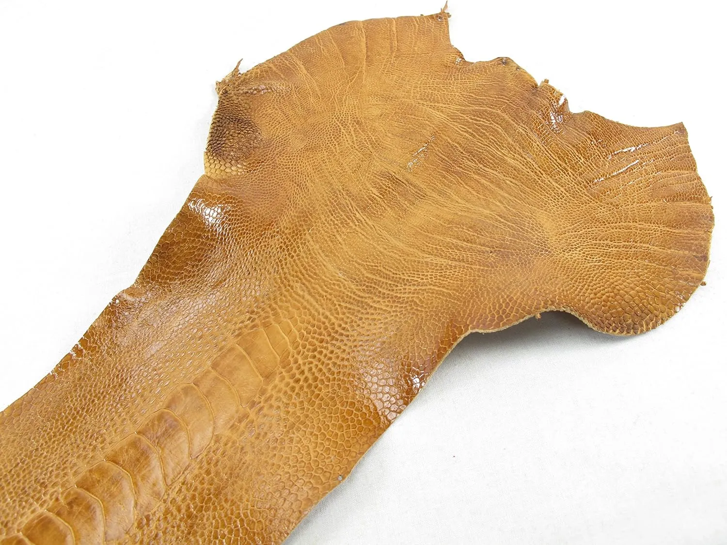 PELGIO Genuine Ostrich Leg Skin Leather with Nail Claw Hide Pelt 4" x 70 cm. Grade A (Tan Brown)