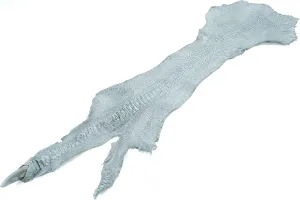 PELGIO Genuine Ostrich Leg Skin Leather with Nail Claw Hide Pelt 5" x 70 cm. Grade A (Telegrey)
