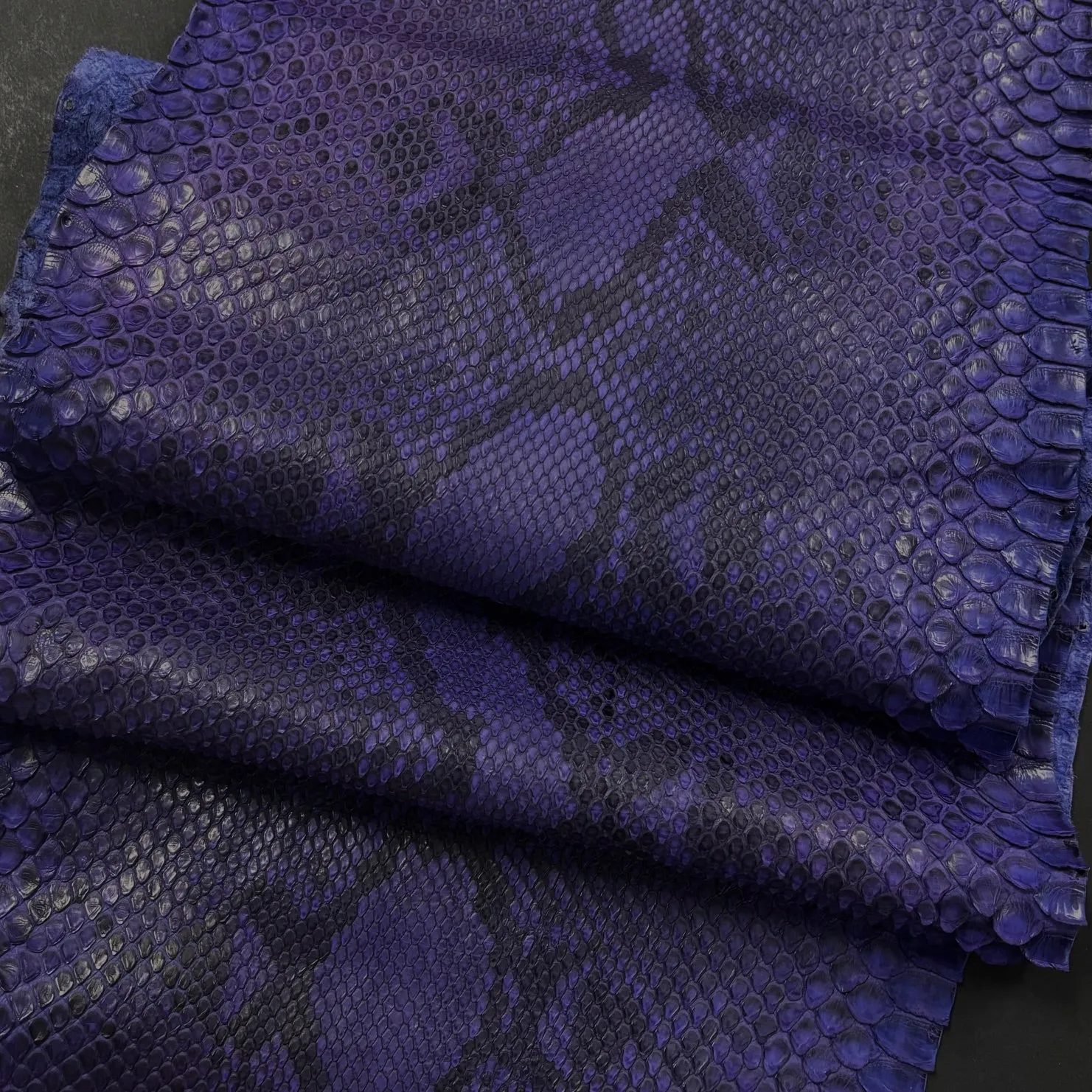 Python Matte | Eggplant | Front Cut Long Tail | 2 week lead