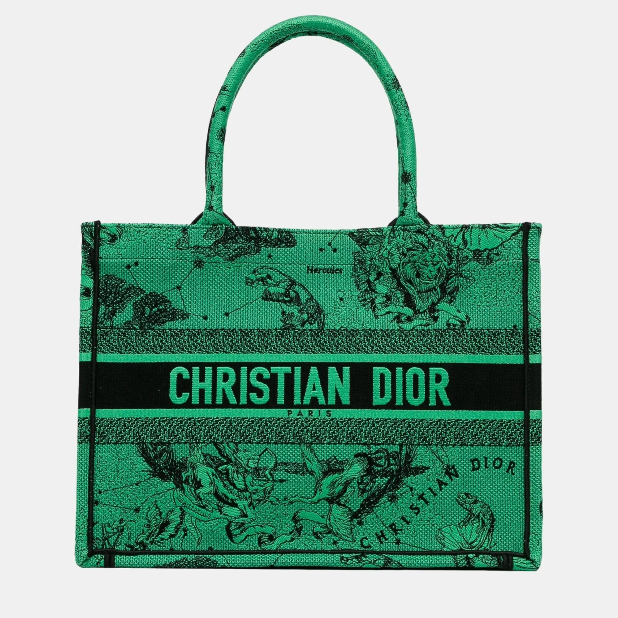 Site-wide sale Book Canvas Dior Tote quality Top Embroidered Medium Quick dispatch Green