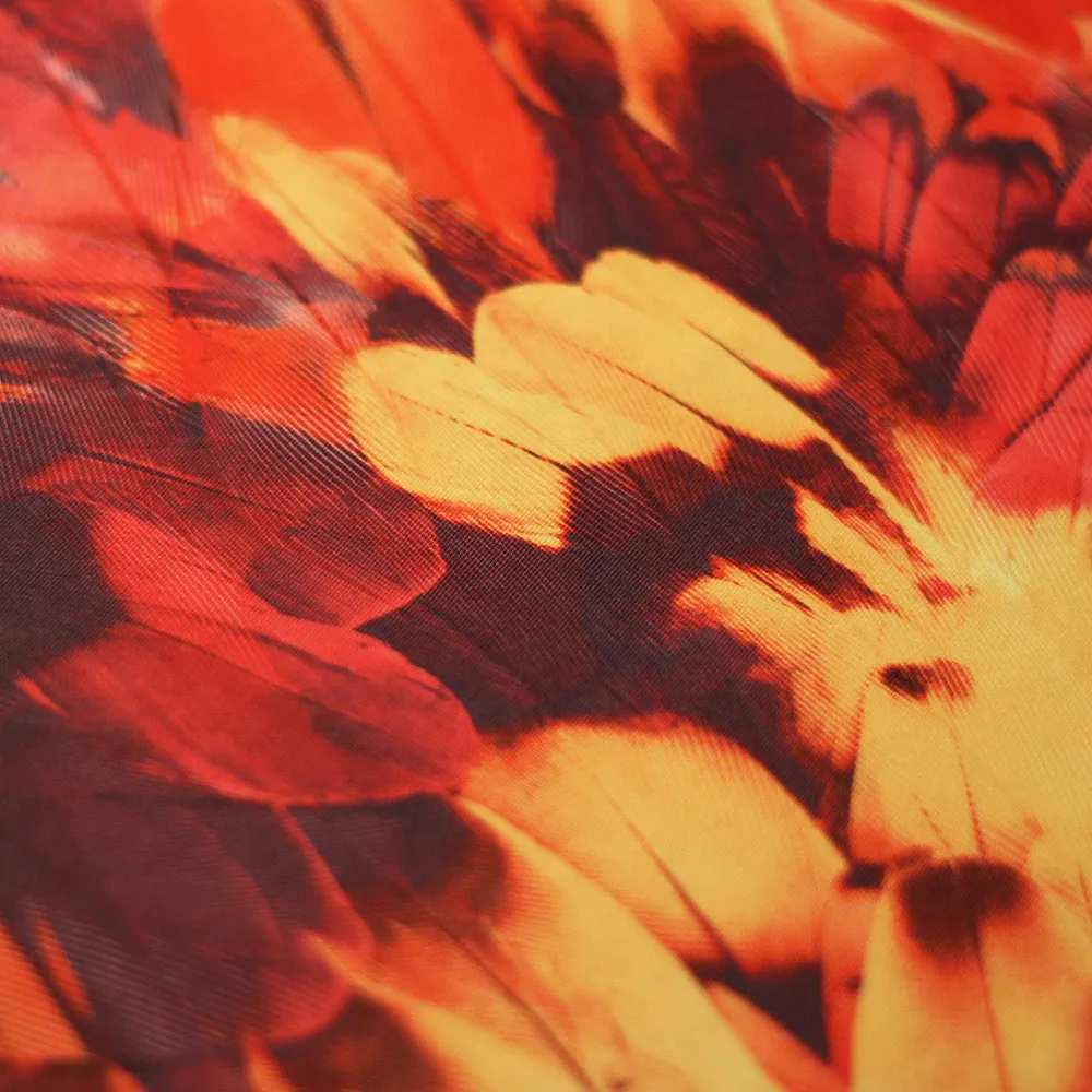 Tropical Feathers