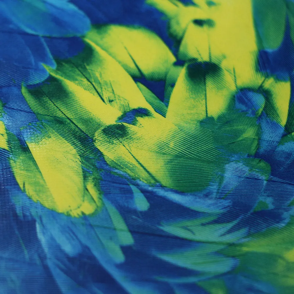 Tropical Feathers