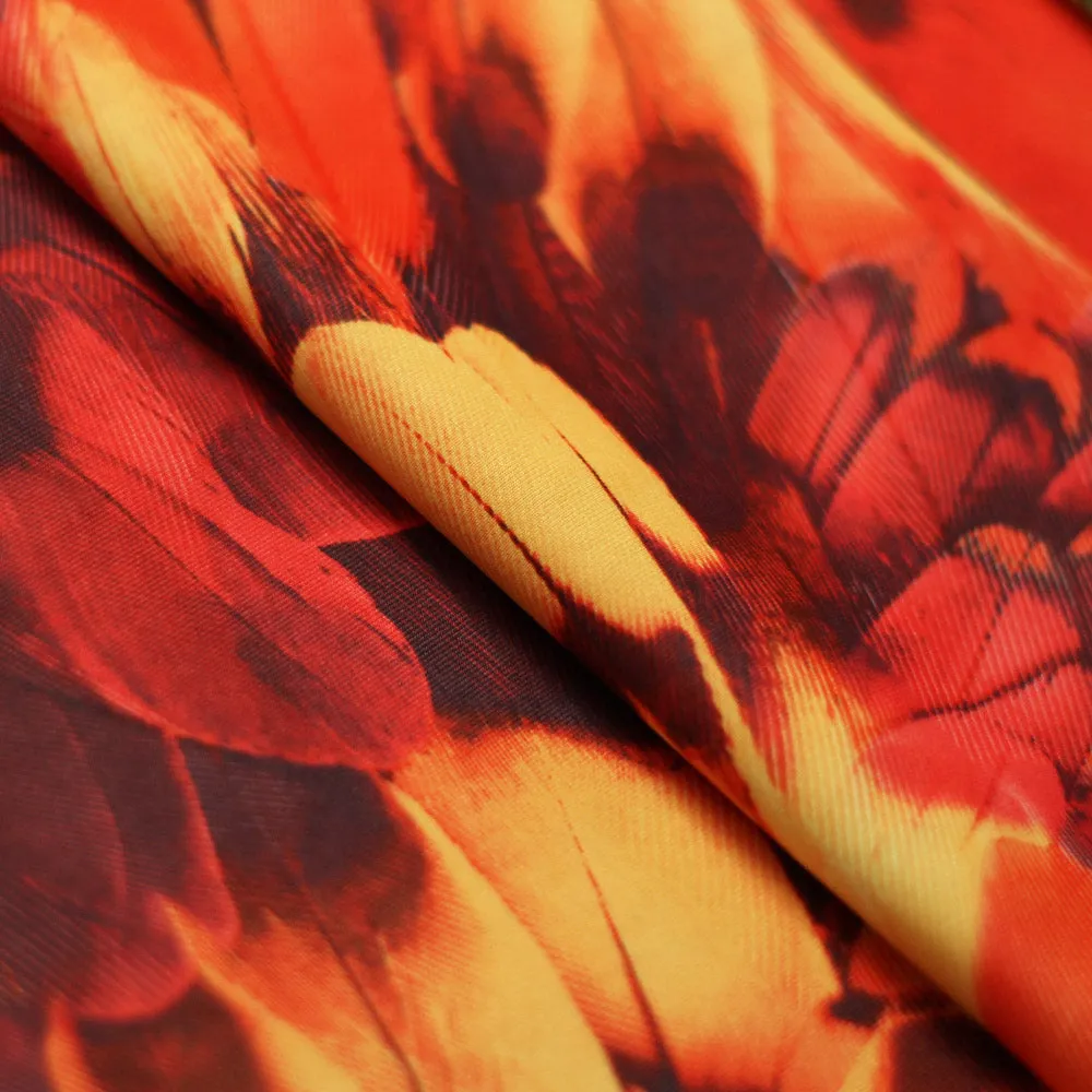 Tropical Feathers