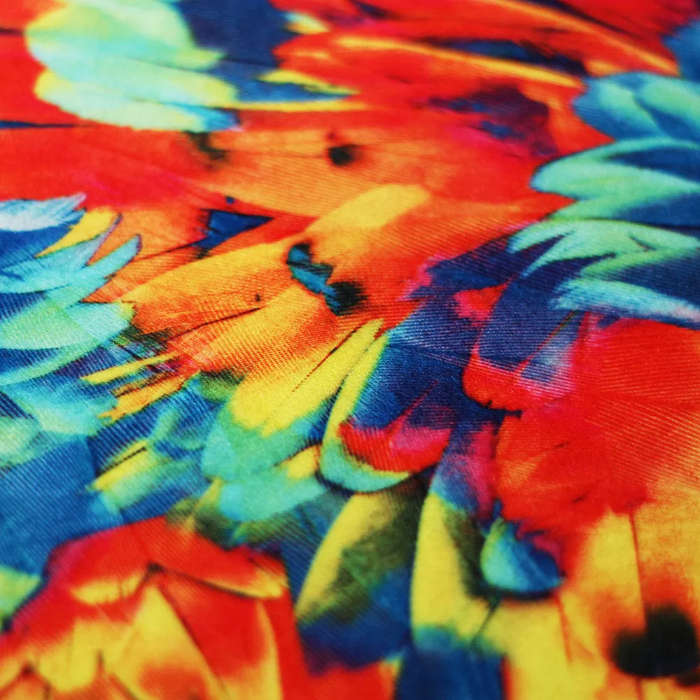 Tropical Feathers
