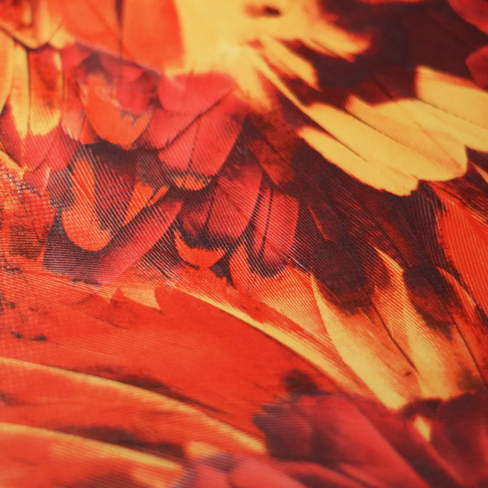Tropical Feathers