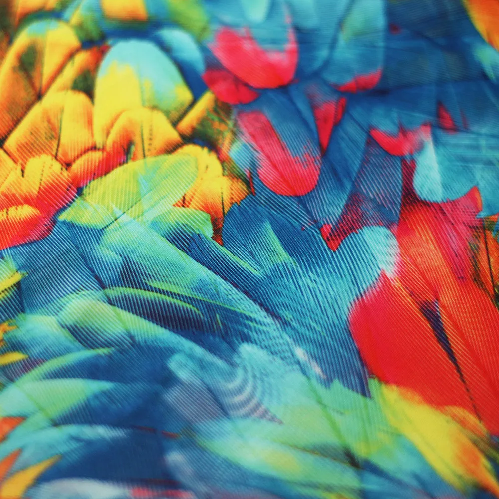 Tropical Feathers